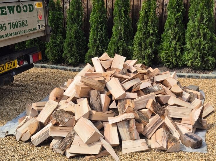 1 cubic metre of logs